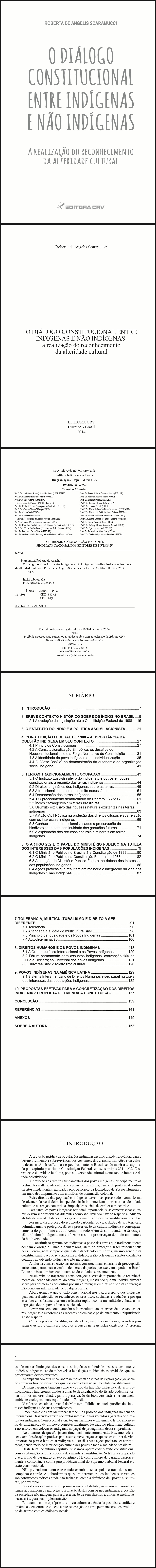 O DIÁLOGO CONSTITUCIONAL ENTRE INDÍGENAS E NÃO INDÍGENAS: a realização do reconhecimento da alteridade cultural